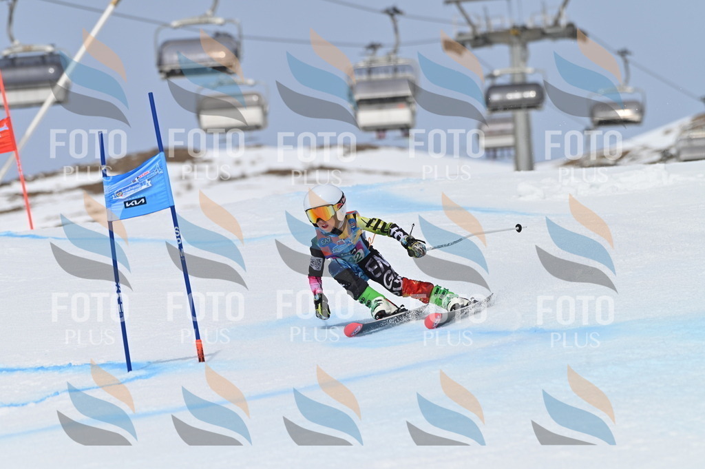 BGV_4790 | holidayphoto