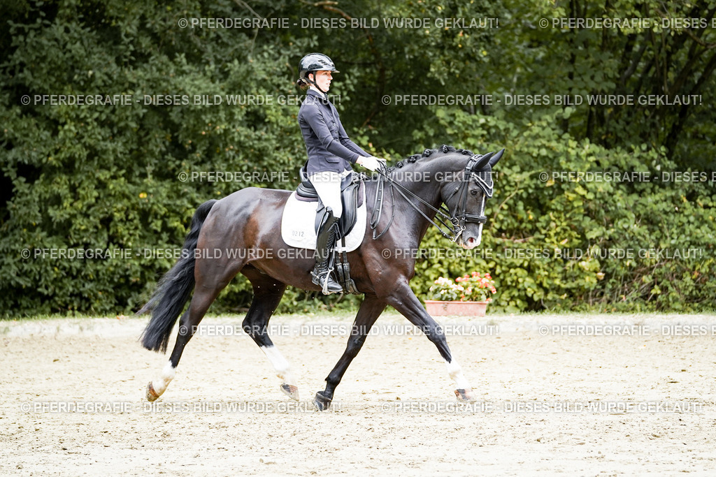 DSC06050 | Pferdegrafie