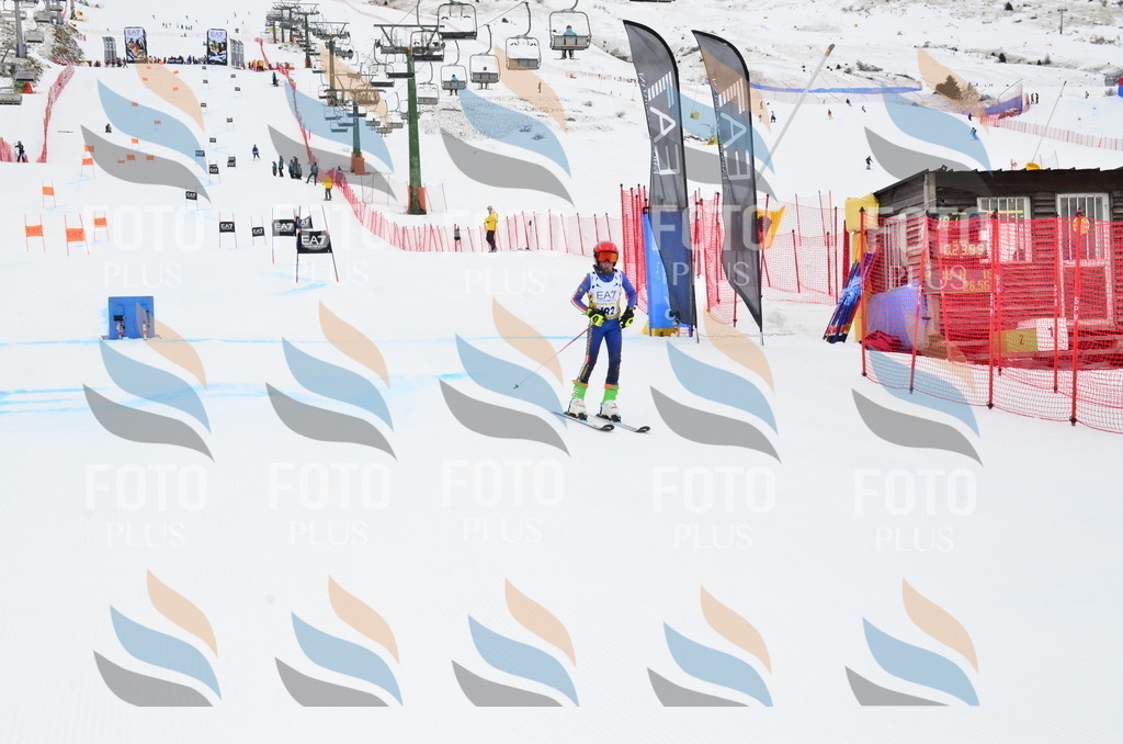 _ELE3960 | holidayphoto