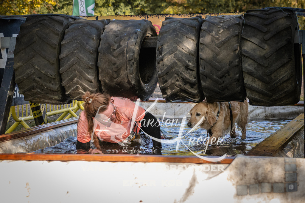 1120_ZZ93264 | kk-dogfotos