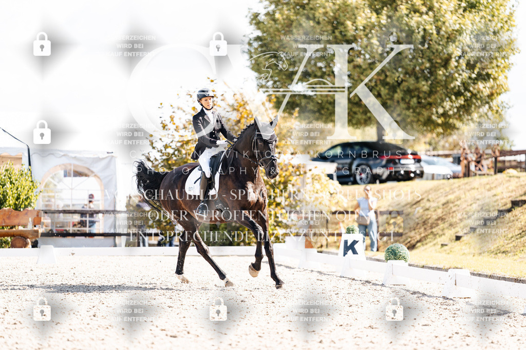 CK902556 | Turnierfotografie Pferdefotografie Trier Rheinland-Pfalz Pferdesport Reitsport Tierfotografie Sportfotografie Pferdevideo Pferdevideografie Equestrianvideography equestrianphotography  - Realisiert mit Pictrs.com
