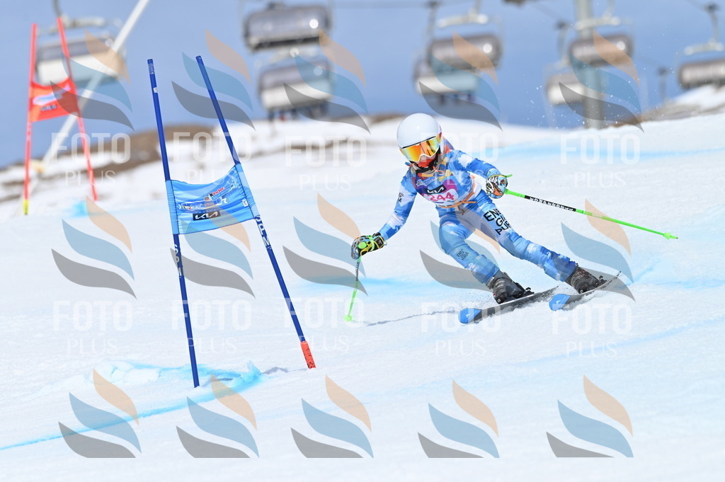 BGV_1775 | holidayphoto