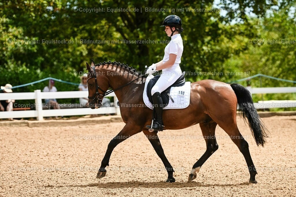 20230715_05_Dressurprüfung Kl.A++_0030 | equistock