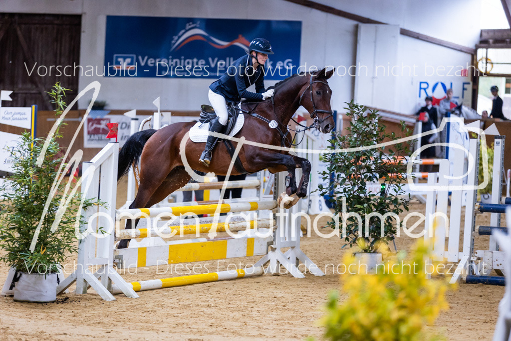 Sth-A-Springen-002 | MomenTaufnahmen Pferdesportfotos