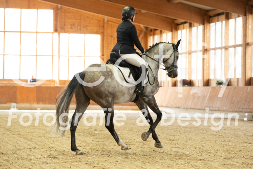 IMG_2448 | Creatify Fotografie