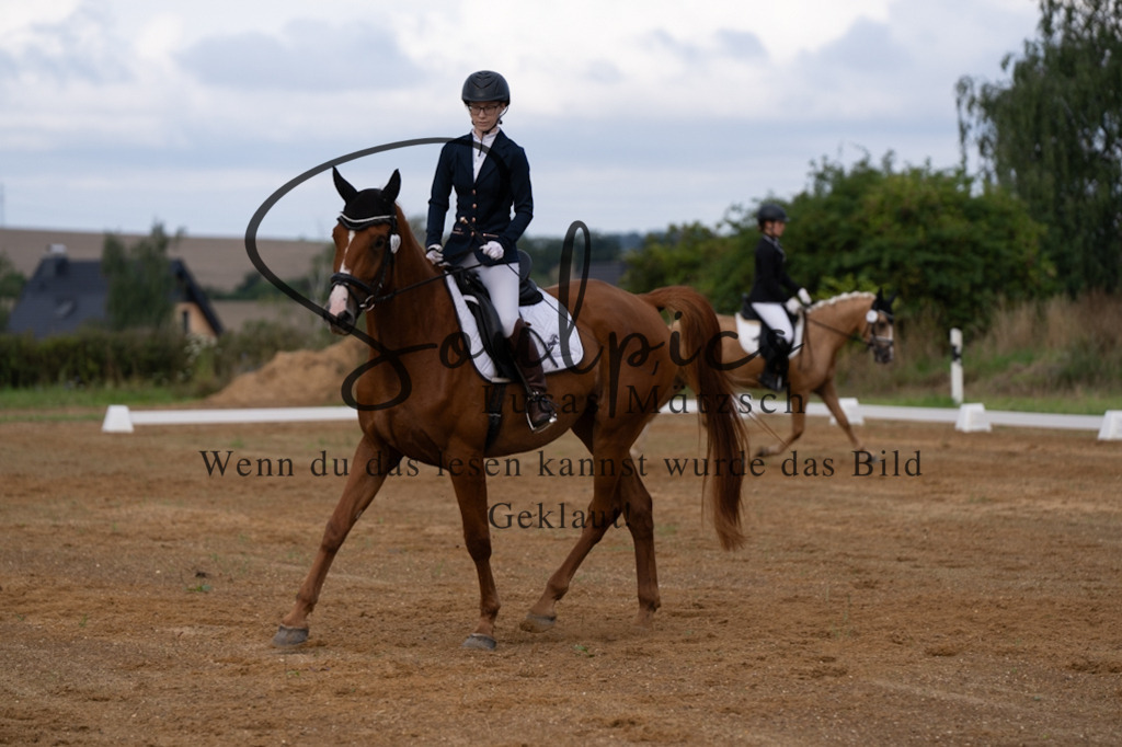 A7V03772 | Turnier/Reitfotograf