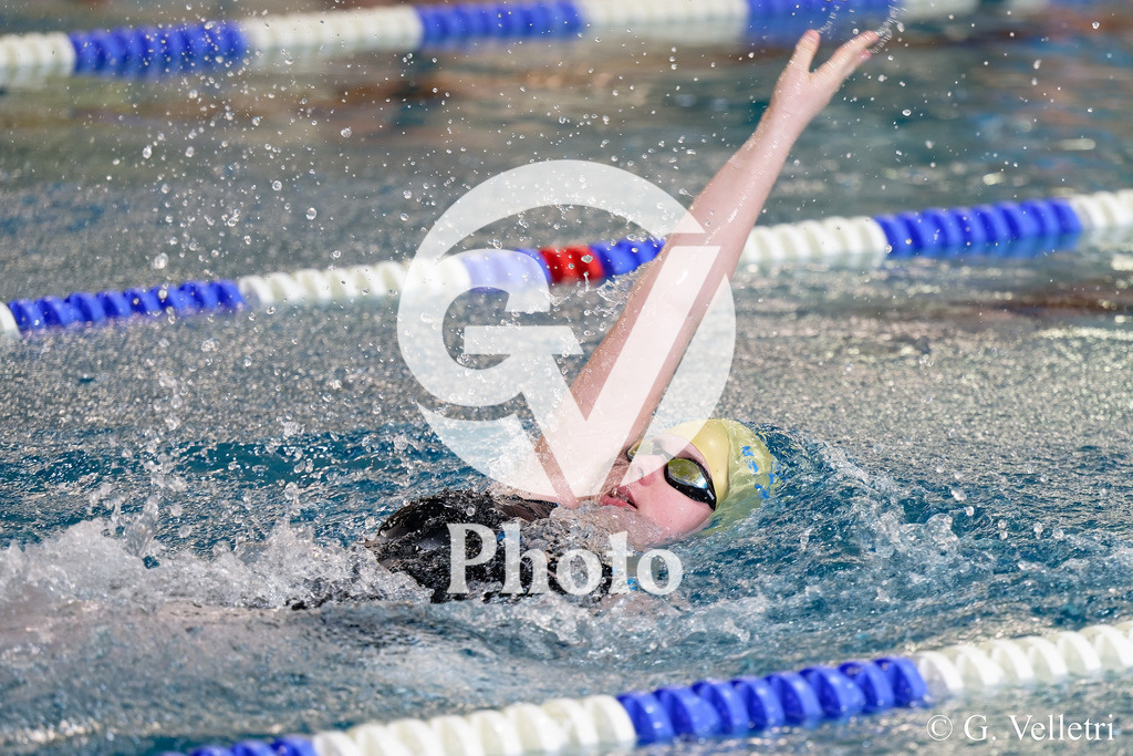 DSC_0994 | Velletri Photo