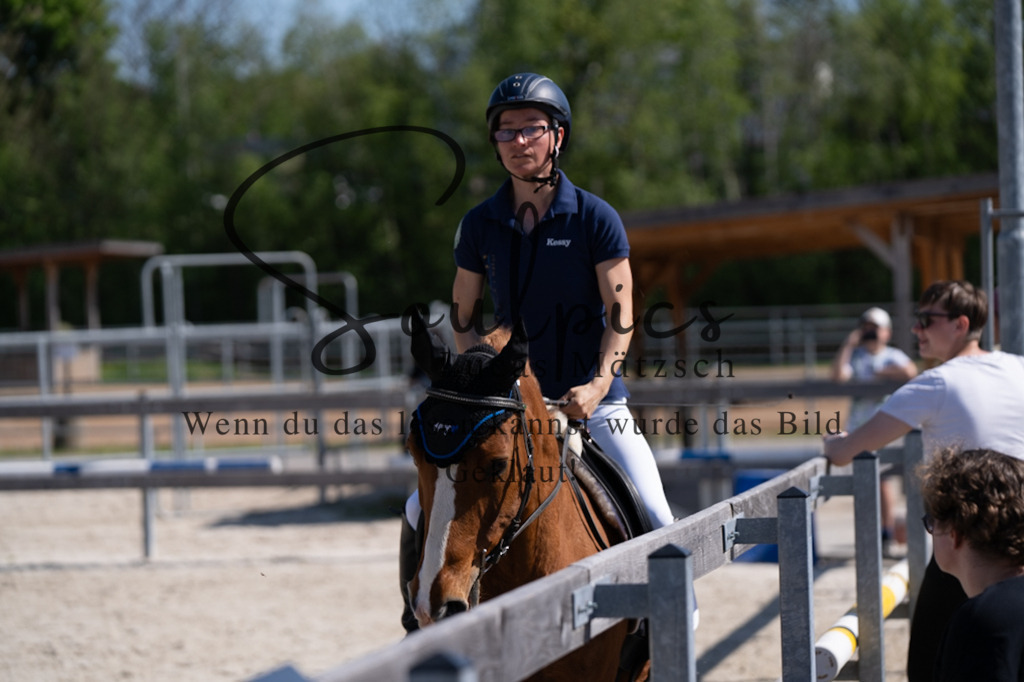 A7V01942 | Pferdefotograf