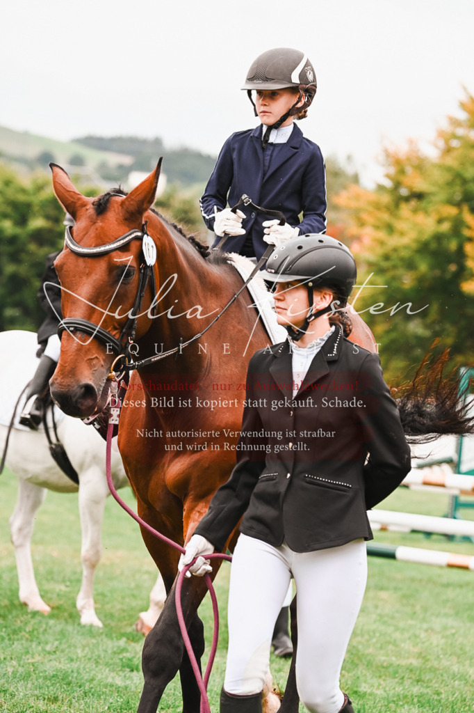 DSC_7315 | Pferde- und Turnierfotografie in Westsachsen. Pferdeportraits, Auftragszeichnungen und intuitive Kunst.