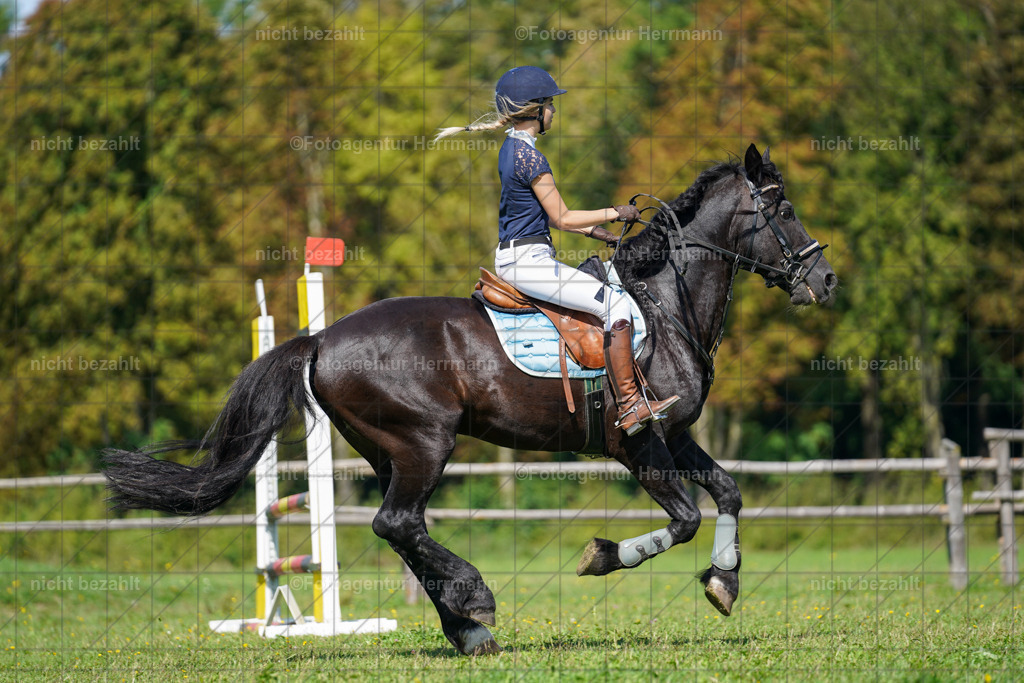 20230917-FAH09442 | Landsberg am Lech, 2023, Kaufbeuren, Kempten, Allgäu, Turnierfotografen Bayern, Fotoagentur Herrmann, Turnierbilder, Reitsport Fotos, Pferdefotograf, Augsburg, Bad Tölz, Dachau, Karlsfeld, Memmingen, Buchloe, Schwabmünchen