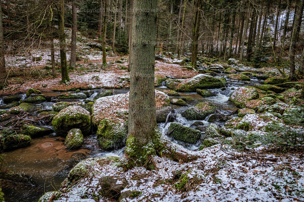 P1660311 | beatekidd-fotografie - Realisiert mit Pictrs.com