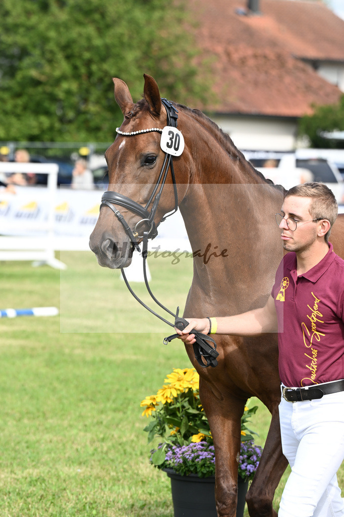 Kat-Nr. 30 Vaiana v. Vitalis_Weyland_30250752 | hf-fotografie - Realisiert mit Pictrs.com