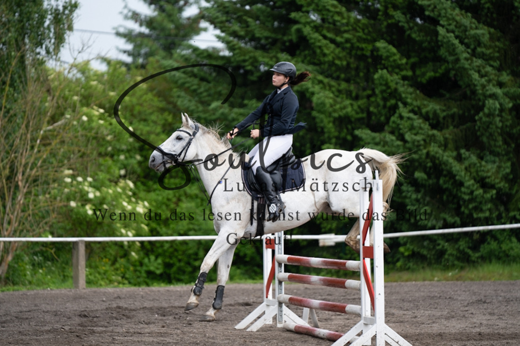 A7V04014 | Pferdefotograf
