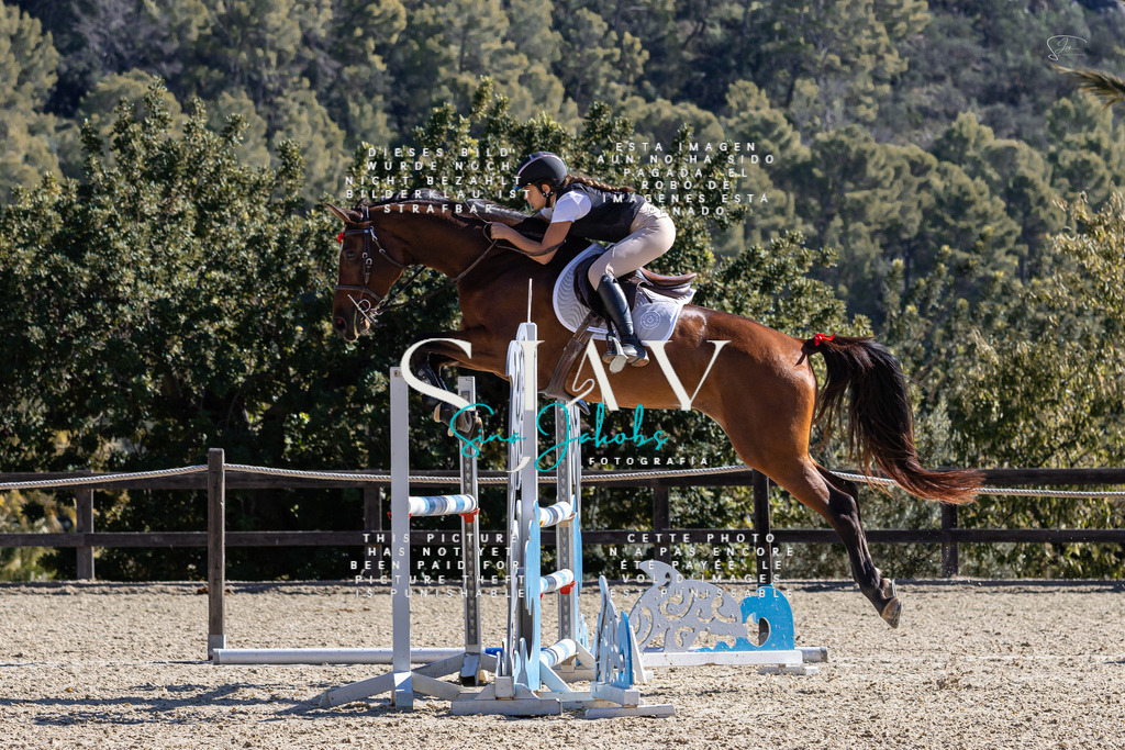 IMG_9946 (2) | s-jay-photography - Realisiert mit Pictrs.com