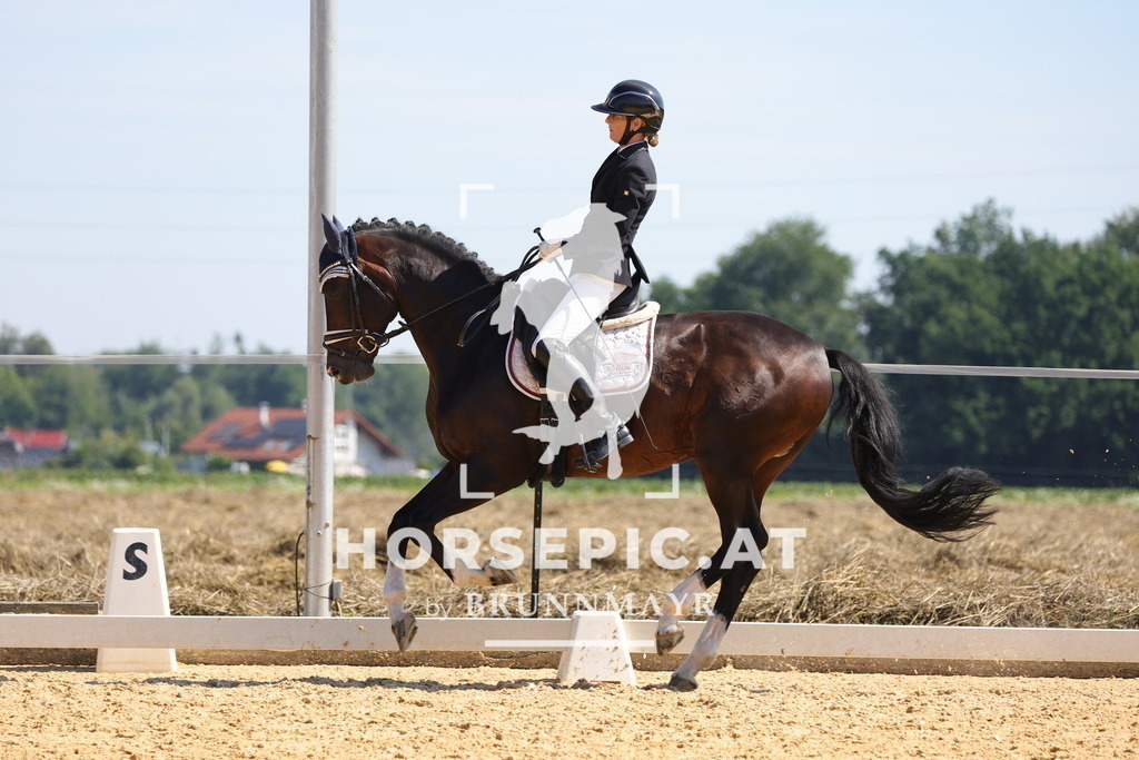 0P6A9646 | Willkommen bei Brunnmayr - Design & Fotografie – Ihrem Spezialisten für Reitturniere und Pferdeveranstaltungen in Oberösterreich, Salzburg und Bayern! Seit über 17 Jahren sind wir leidenschaftlich dabei.