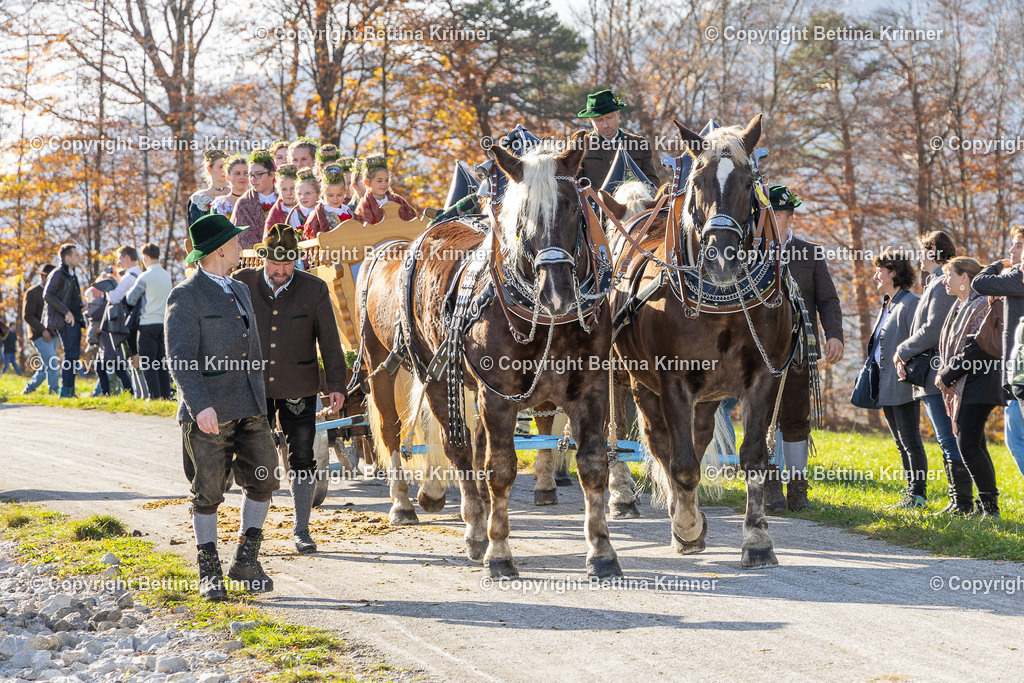 LBT24-1409 | foto-bettina-krinner - Realisiert mit Pictrs.com