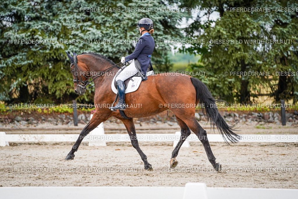 DSC00074 | Pferdegrafie