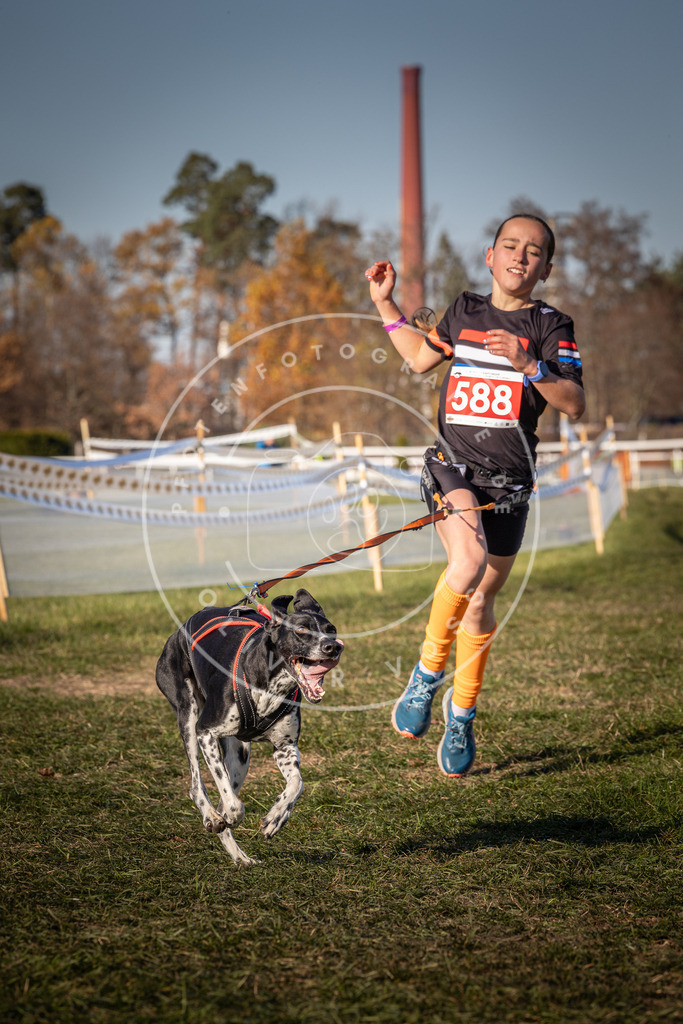 CaniXpix_0L8A8309 | Hundefotografie, Tierfotograf, Pfotenfotografie, Fotoshooting Hund, Hunde Portrait, Hundesport, Hundeportraits, Heideshooting, Hunde, Sportfotograf, Hundefotograf, Turnierhundsport, THS,  - Realisiert mit Pictrs.com