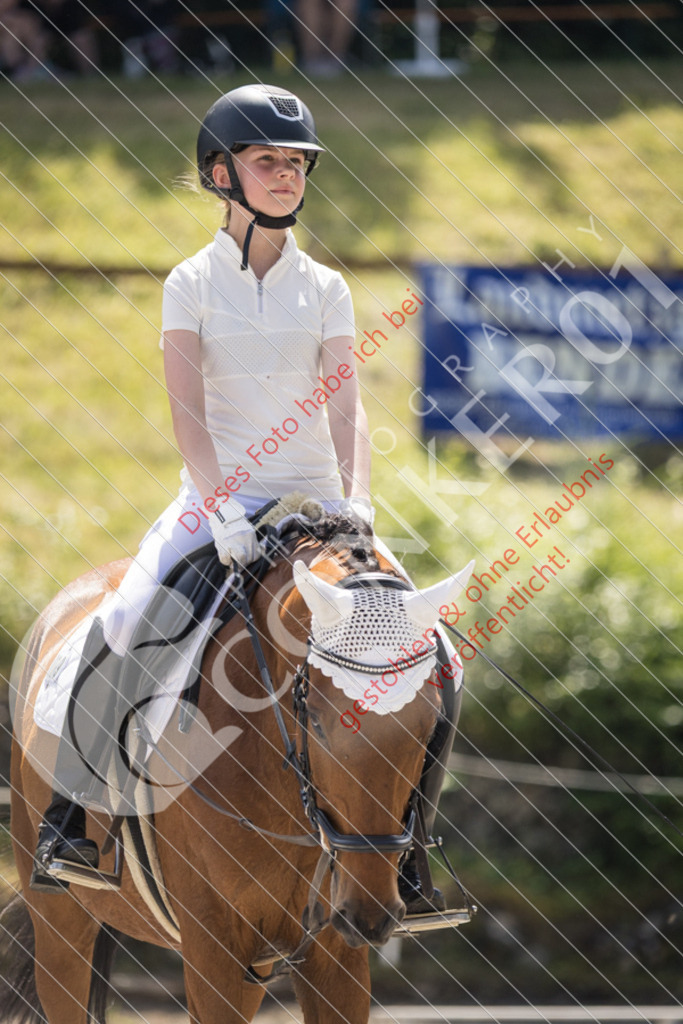 IMG_4698 | Sport-, Event- und Tierfotos in Profiqualität. Einfach auswählen, bestellen und herunterladen. Dein Moment – perfekt festgehalten.