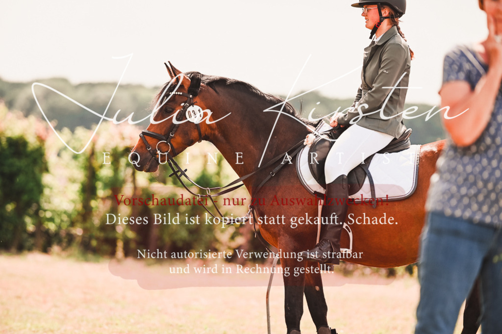 DSC_7029 | Pferde- und Turnierfotografie in Westsachsen. Pferdeportraits, Auftragszeichnungen und intuitive Kunst.