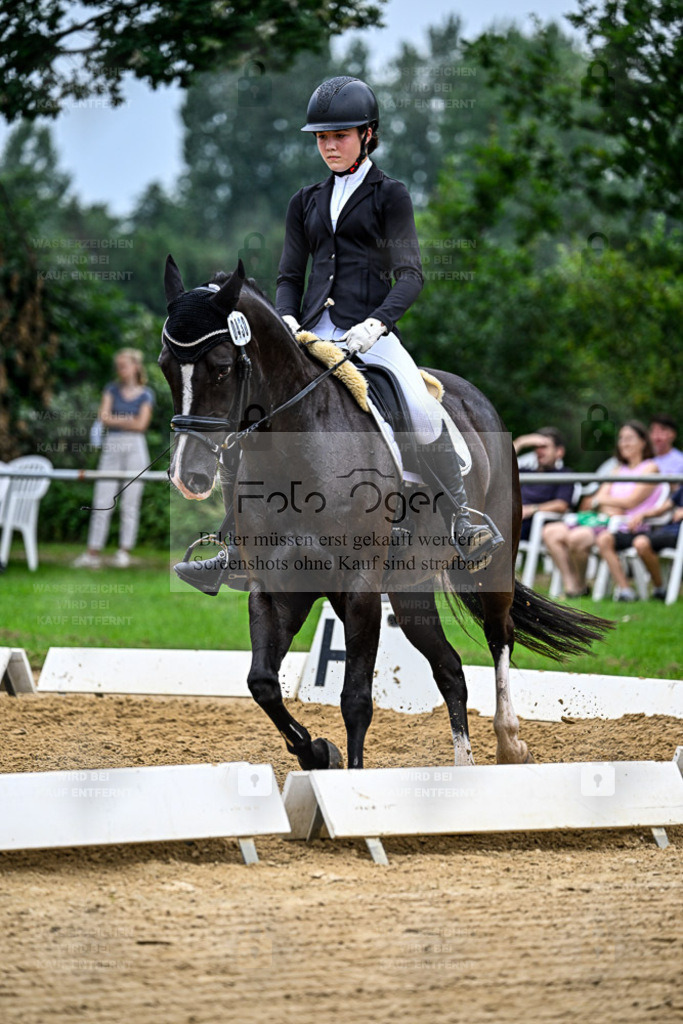 Reitturnier Hasbergen | Entdecke hochwertige Reitturnierfotos von Foto Oger. Professionell, emotional und authentisch – jetzt Lieblingsmomente im Shop bestellen. - Realisiert mit Pictrs.com