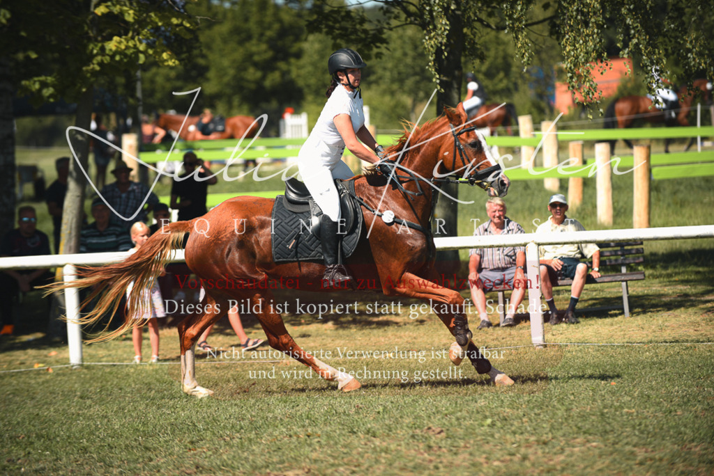 DSC_7131 | Pferde- und Turnierfotografie in Westsachsen. Pferdeportraits, Auftragszeichnungen und intuitive Kunst.