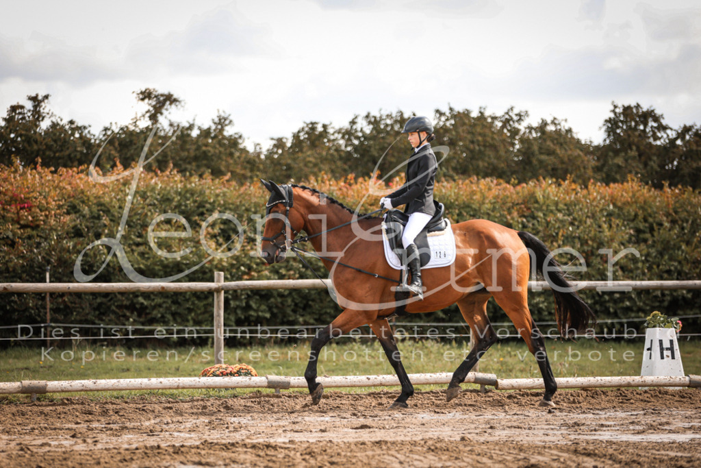 02.SoDrWB00185 | Leoni Ertmer Photography - Realisiert mit Pictrs.com