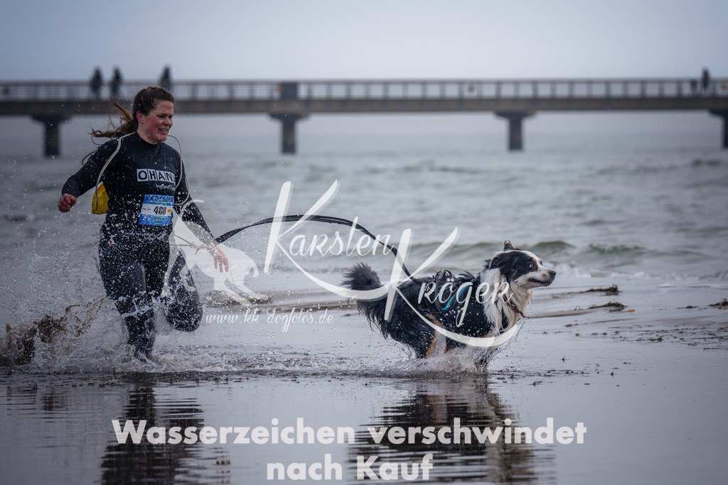 1137_ZZ99557 | kk-dogfotos