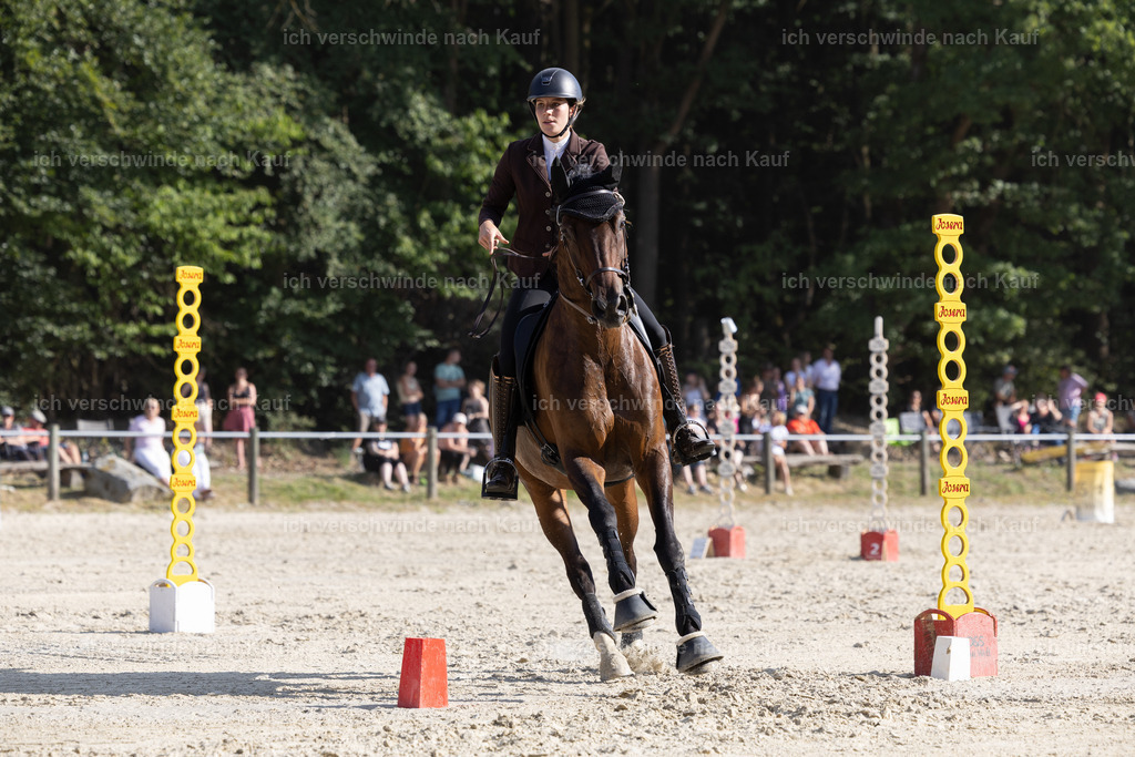 WS_SPEED_111_KerstinBernhardt-6 | working equitationturnier fotograf videograf stoibphotography marixx film working equitation deutschland reitsport turnierfotografie eventfotografie equestrian events