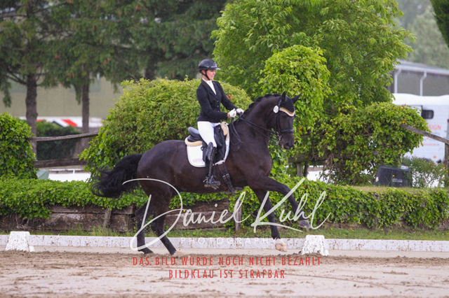 DKP40813 | Turniersportfotografie; Pferdefotografie; Dressurfotografie