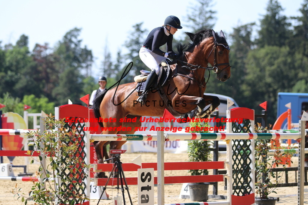 IMG_3011 | lmwpictures - Realisiert mit Pictrs.com