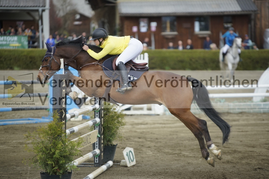 _DSC7923 | equestrian-live-com