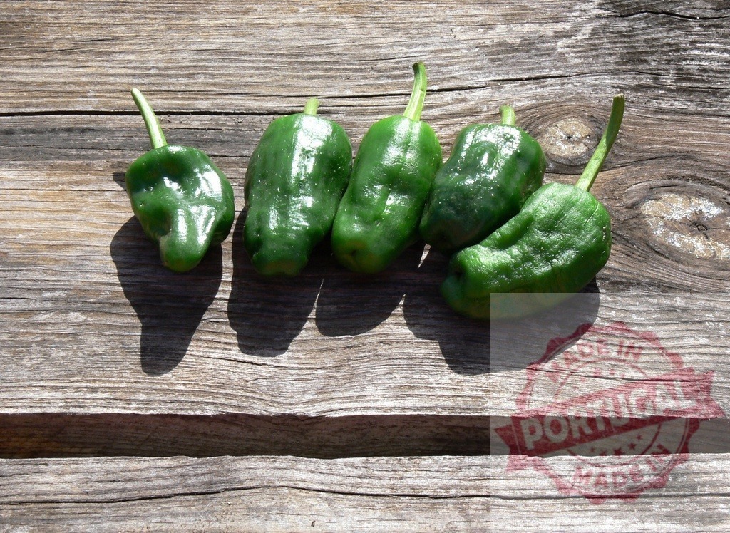 Pimientos de Padrón green peppers on rustic wooden surface | Padrón peppers resting on a vintage wooden table with natural light and shadows - Realized with Pictrs.com