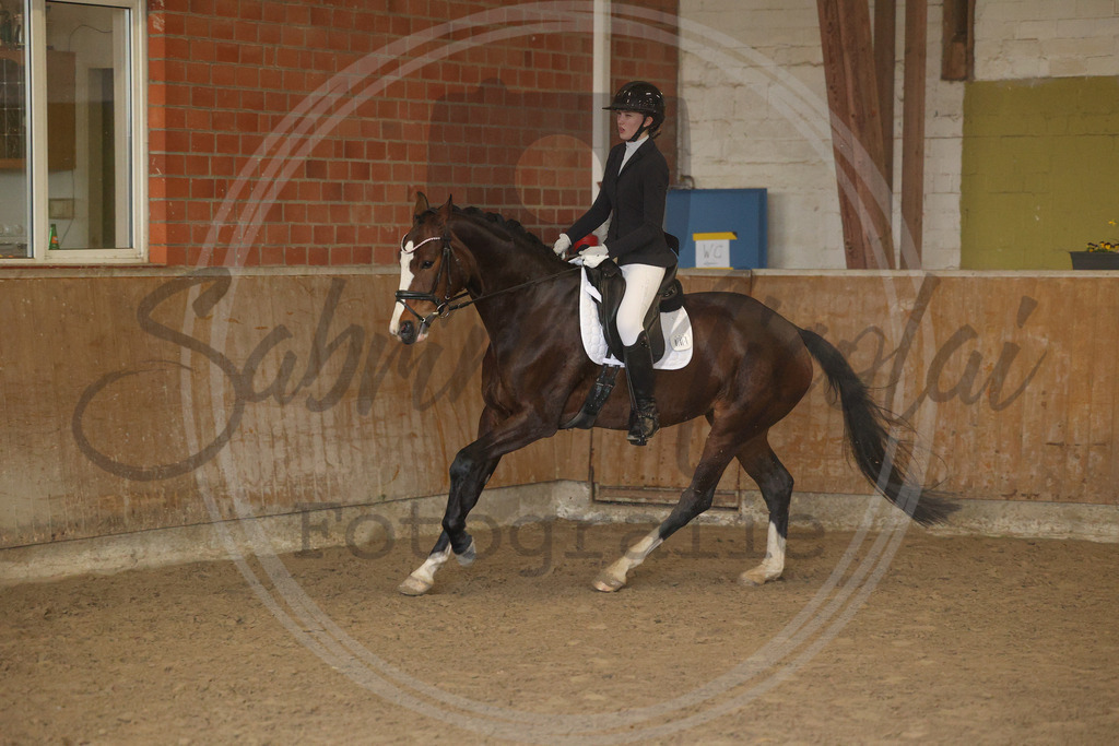 994A9106 | sabrinanicolaifotografie - Realisiert mit Pictrs.com