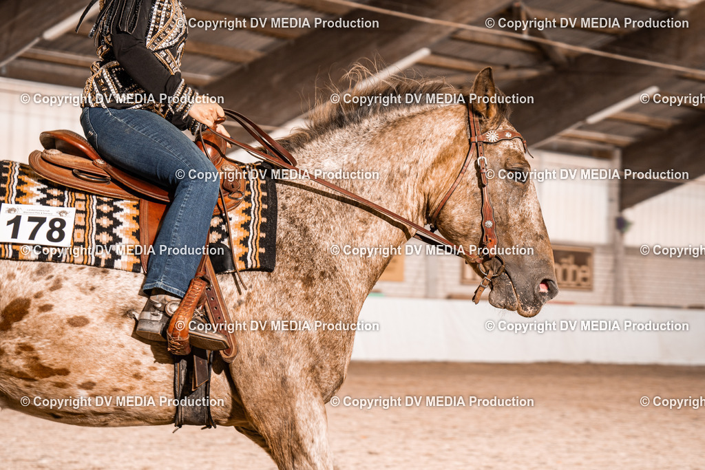 ZH100179 | dv-media-shop - Realisiert mit Pictrs.com