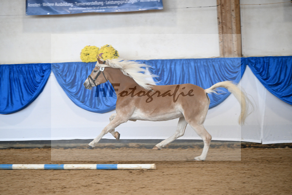 Bl. Band Kat-Nr. 6 Najen v. Sternzauber_Sturm_48251336 | hf-fotografie - Realisiert mit Pictrs.com