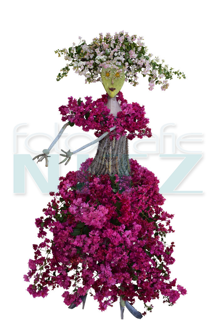 12 | Nitz Fotografie aus Montabaur bietet Ihnen hier die Möglichkeit Bilder auszusuchen und zu bestellen. 