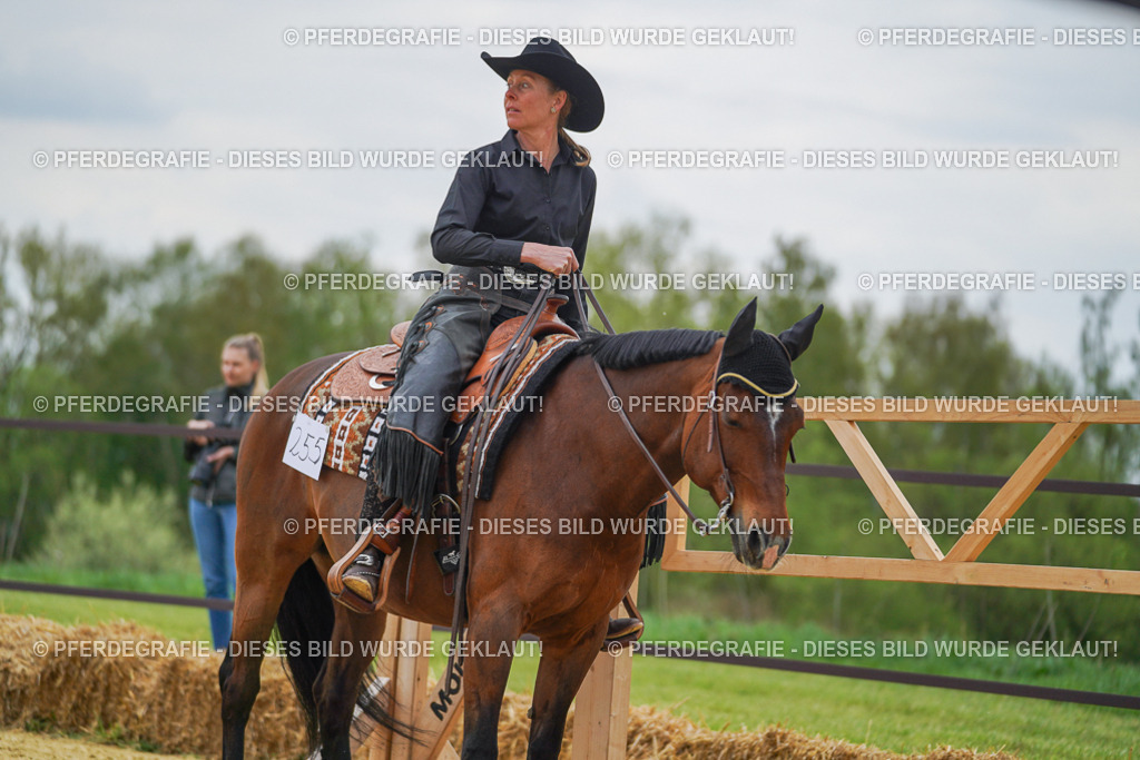 DSC07662 | Pferdegrafie