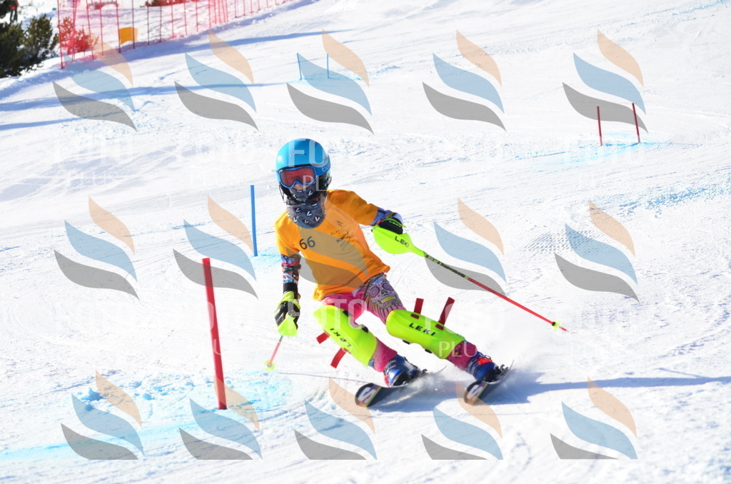 C5836 | holidayphoto