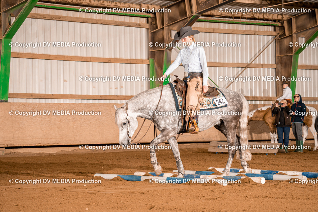 BA400255 | dv-media-shop - Realisiert mit Pictrs.com