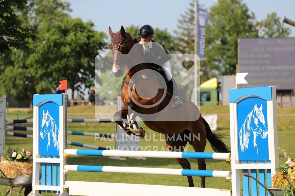 IMG_6913 | Pauline Ullmann Photography - Realisiert mit Pictrs.com