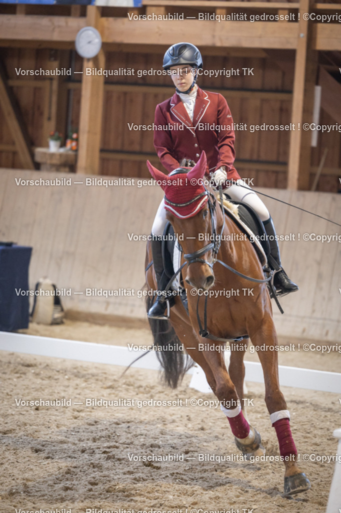 _D5A5686 | Emotionale Pferde- & People-Fotografie rund um Heidelberg, Leimen & Umgebung. Natürliche Fotos von Pferd, Mensch & Familie. Jetzt Termin sichern!