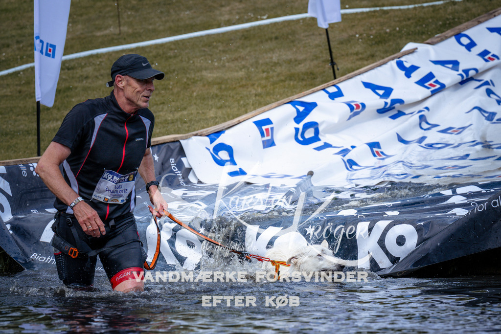 _ZZ940080950 | kk-dogfotos