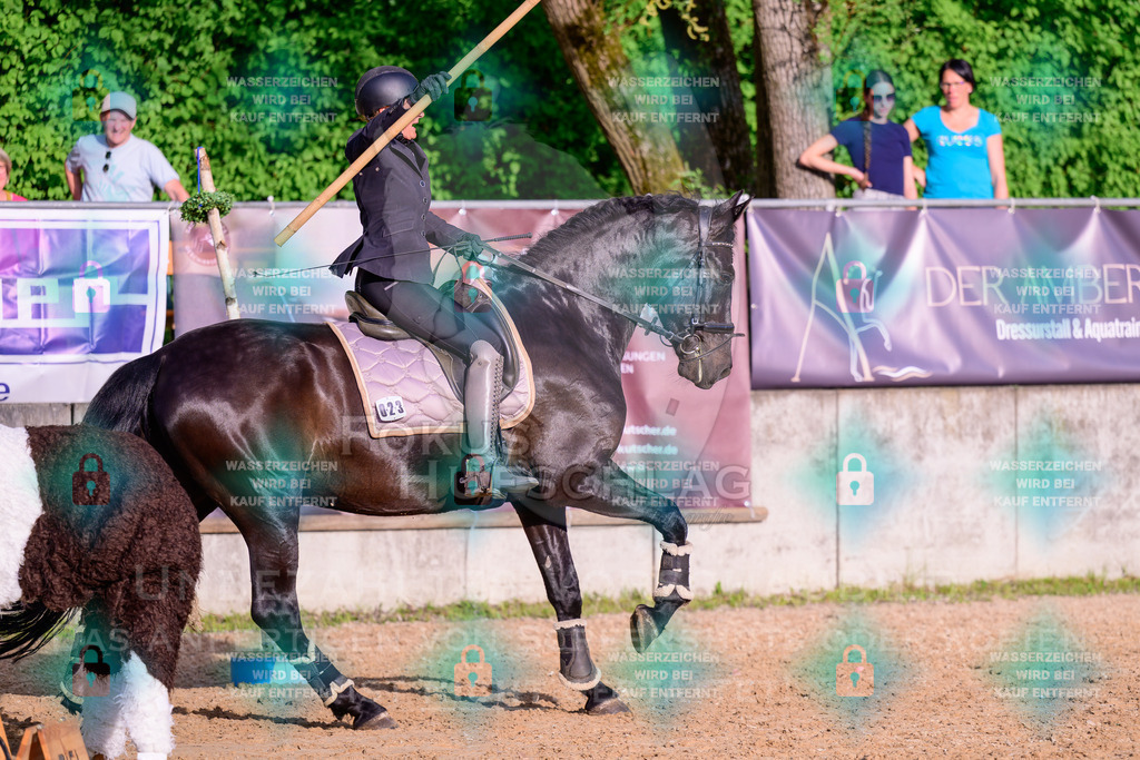 02052026-Giesenbach-03-Speedtrail-0685 | Fokus Hufschlag Fotografie - Realisiert mit Pictrs.com