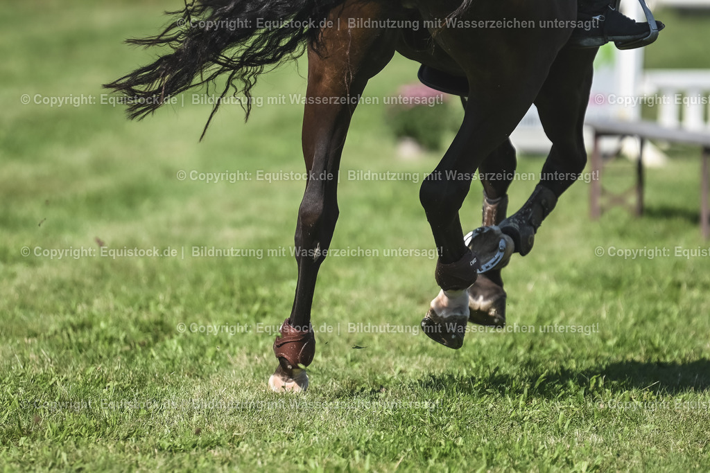 20230908_24_Springen_M_0048 | equistock