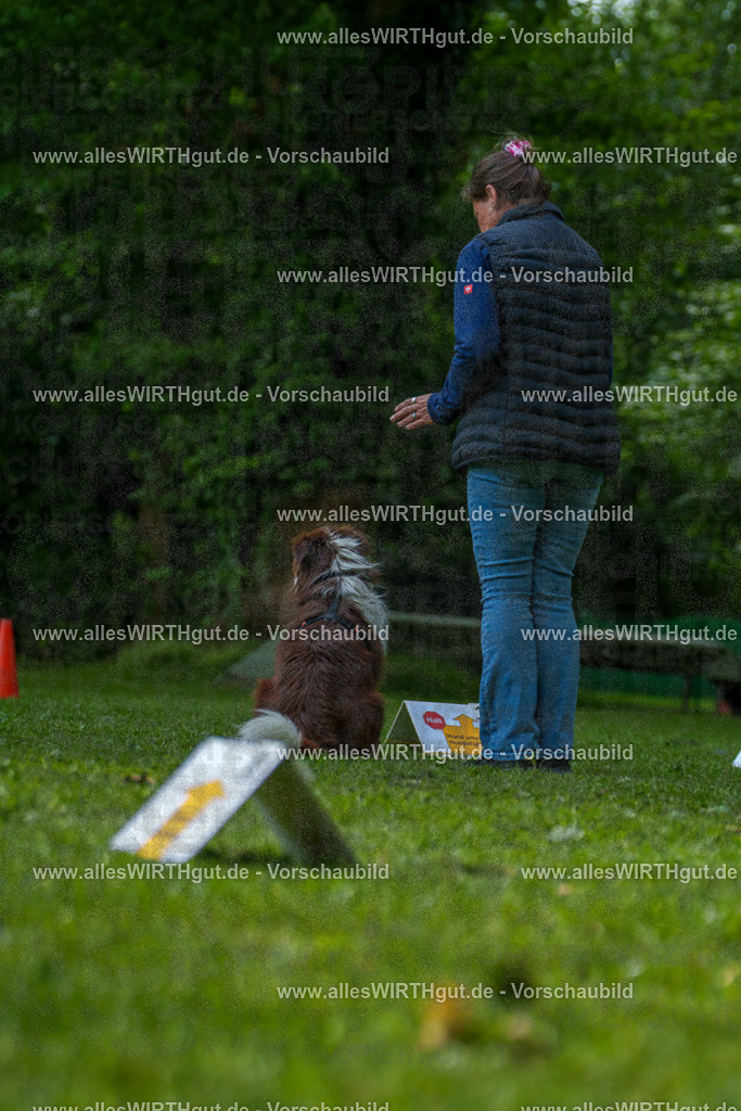@allesWIRTHgut_Tierfotografie - www.allesWIRTHgut.de - 7R505448 | Professionelle Tierfotografie in Mönchengladbach von Daniel Wirth (allesWIRTHgut). Liebevolle & natürliche Bilder von Hunden & Katzen für unvergessliche Erinnerungen.