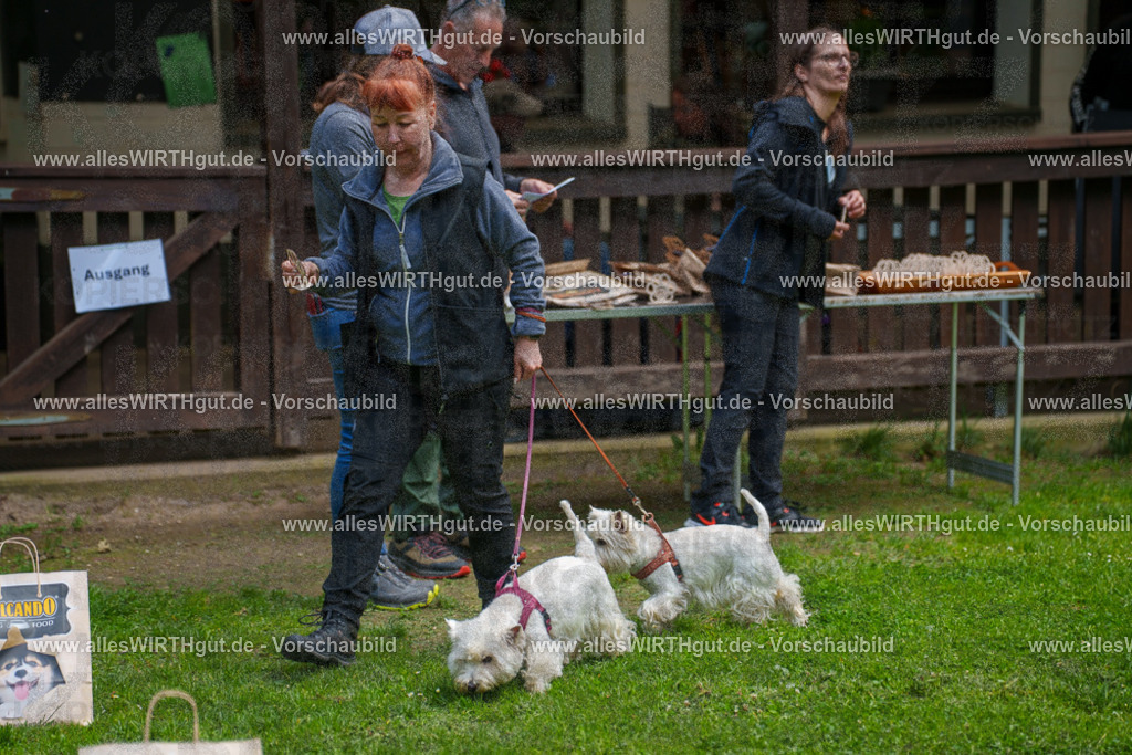 @allesWIRTHgut_Tierfotografie - www.allesWIRTHgut.de - 7R504006 | Professionelle Tierfotografie in Mönchengladbach von Daniel Wirth (allesWIRTHgut). Liebevolle & natürliche Bilder von Hunden & Katzen für unvergessliche Erinnerungen.