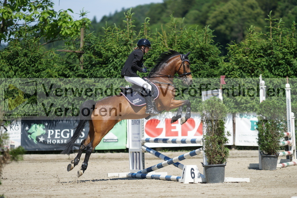 DSC06258 | equestrian-live-com