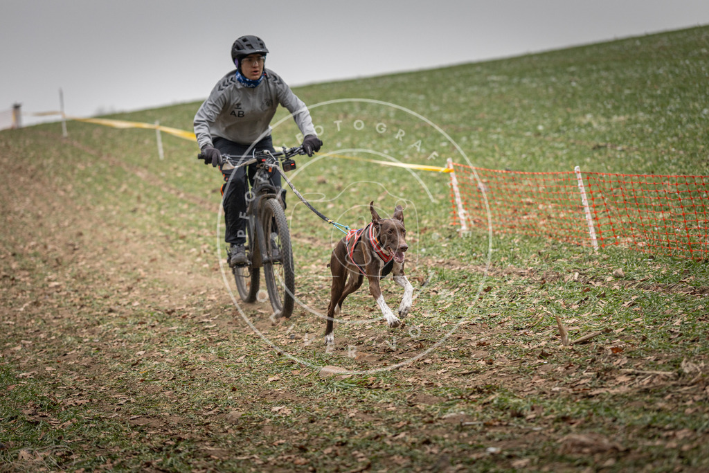 Pfotenfotografie_DV3A2487 | Hundefotografie, Tierfotograf, Pfotenfotografie, Fotoshooting Hund, Hunde Portrait, Hundesport, Hundeportraits, Heideshooting, Hunde, Sportfotograf, Hundefotograf, Turnierhundsport, THS,  - Realisiert mit Pictrs.com