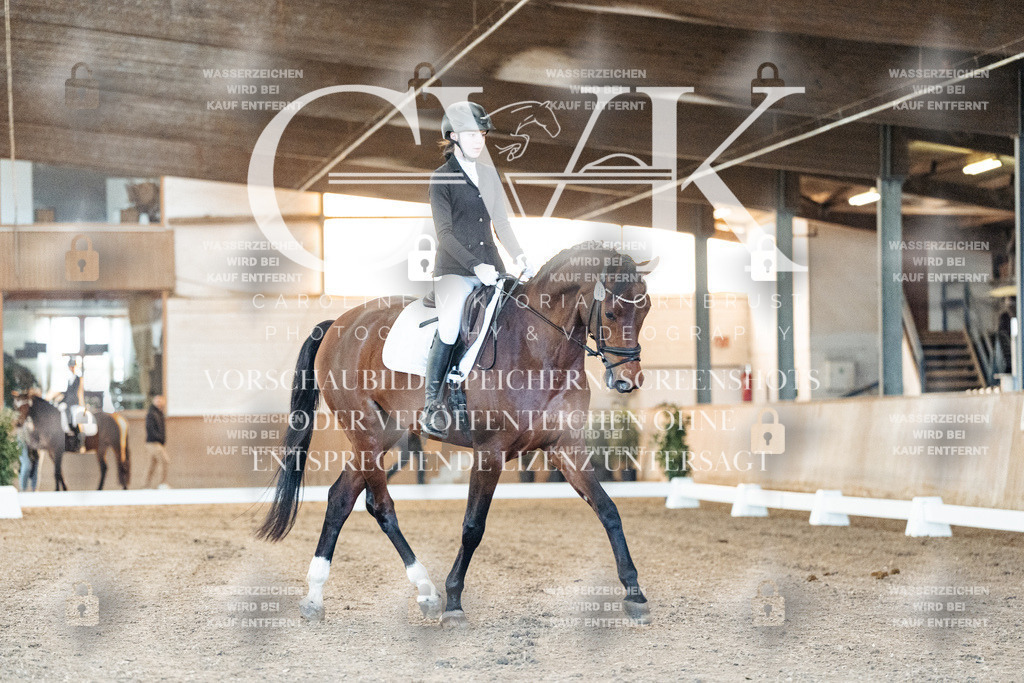 CK906472 | Turnierfotografie Pferdefotografie Trier Rheinland-Pfalz Pferdesport Reitsport Tierfotografie Sportfotografie Pferdevideo Pferdevideografie Equestrianvideography equestrianphotography  - Realisiert mit Pictrs.com